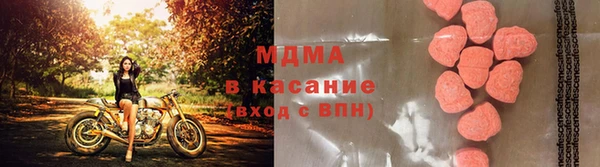 гашик Арсеньев