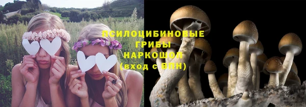 герыч Фёдоровский