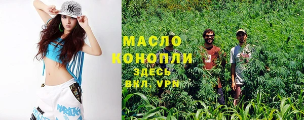 гашик Арсеньев