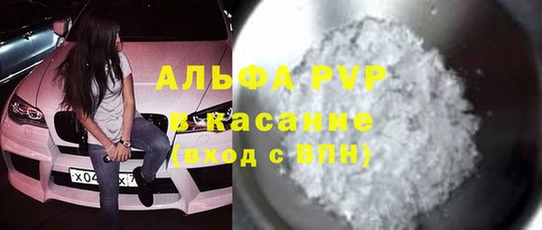 гашик Арсеньев