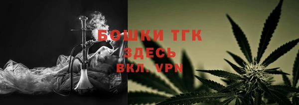 гашик Арсеньев