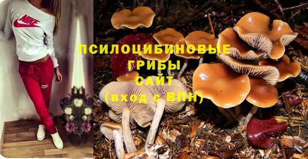 твердый Аркадак