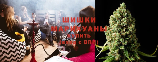 гашик Арсеньев